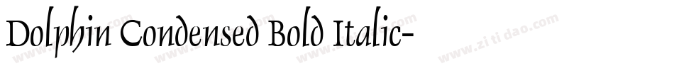 Dolphin Condensed Bold Italic字体转换